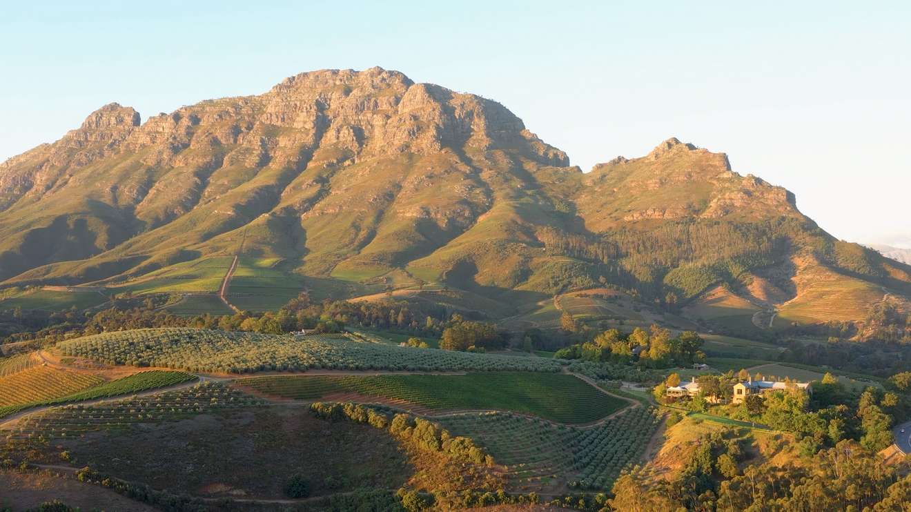 Stellenbosch vineyards